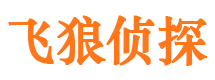 炎陵寻人公司